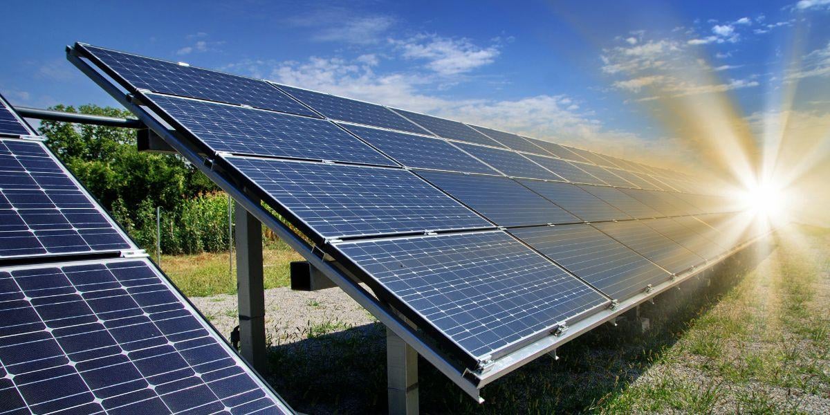 solar-panels-in-a-solar-farm